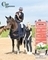 Holly Smith dominates in the first Events Through A Lens Talent Seeker Qualifier of 2025 at Chard Equestrian Centre